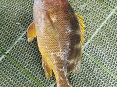 -考记泥焗鸡农庄·海鲜(北洛秘境店)