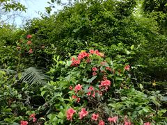 -小南山公园