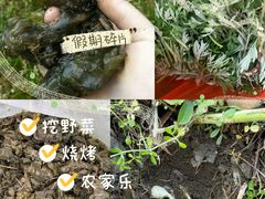 -广富林郊野公园-P5停车场