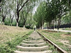 -永定河休闲森林公园