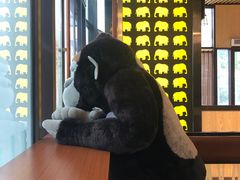 -ZOO COFFEE动物园咖啡(望京锐创店)