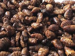 蚕蛹-丰茂烤串(六里桥店)
