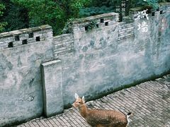 -台州府城(江南长城)