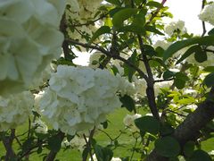 -桃园农庄·桃源宴