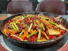 老板恋上鱼-老板恋上鱼(振华商厦店)