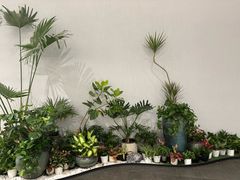 -中国湿地博物馆