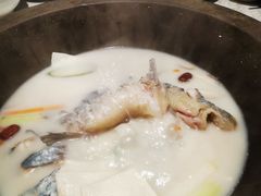 鱼汤-鲜潭蒸汽石锅鱼(五道口购物中心店)