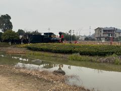 -径山花海
