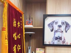 -恒幸动物医院·急重症转诊中心·神经内外科·CT核磁