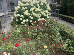 -张学良旧居陈列馆