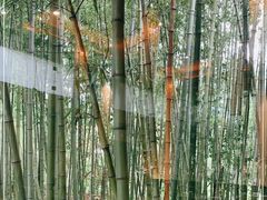 -九龙湾·御膳坊(九龙窠路店)