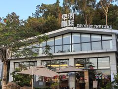 -王借岗森林公园