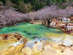 -黄龙山原始森林景区