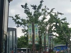 -飞洲国际广场