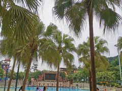 -重庆海昌加勒比海水世界