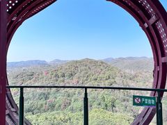 -贵州百里杜鹃风景名胜区