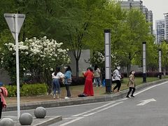 -大龙山(地铁站)