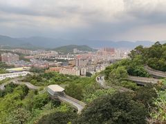 -福道