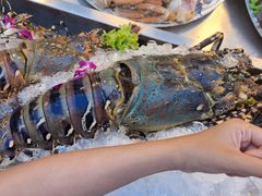 -席娜卡琳火车铁道夜市