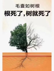 -诗碧曼养发