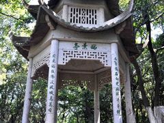 -青龙山公园