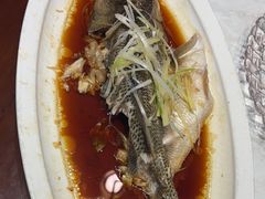-8号厚厨(凤凰店)