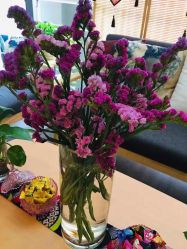 -觅屿日式脱毛美肤