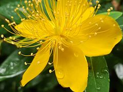 -四里河滨水生态公园