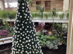 -白天鹅宾馆-宏图府餐厅