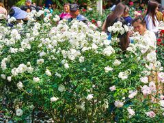 -人民公园(罗湖区)