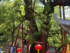 -封龙山风景区