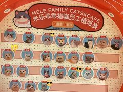 -米乐乖乖猫咪咖啡馆·猫咖(深圳湾后海汇店)