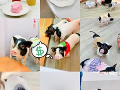 -猪盟咖啡店(玖洲道店)