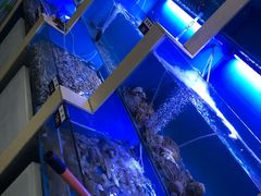 水产区-老虎滩大连海鲜烧烤(建邺云锦路总店)