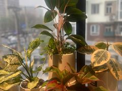 -懒人盐府人家(航天桥店)