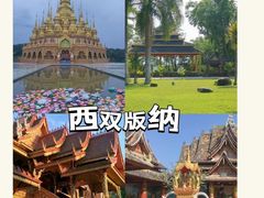 -西双版纳原始森林公园