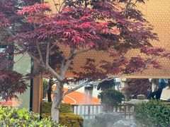 -庆春朴门(前滩太古里店)