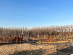 -黄海国家森林公园