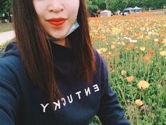 -秀丽东方