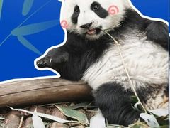 -茶百道(友好店)