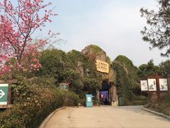 -云南野生动物园