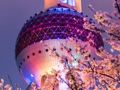 -东方明珠广播电视塔