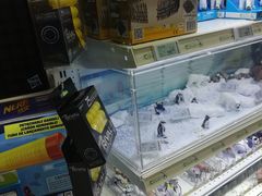 -TOYSRUS玩具反斗城(深圳万象城店)