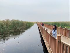 -白洋淀景区