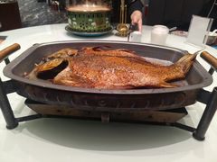 -哈啾嗨·新概念蒙餐(红星新城店)