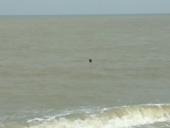 -白沙门生态公园