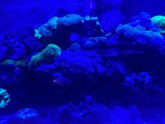 -上和臻品中国菜(花园街店)