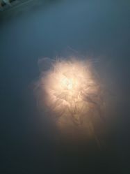 -I+造型烫发染发