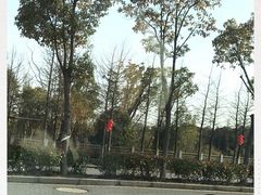 -上海长兴岛郊野公园