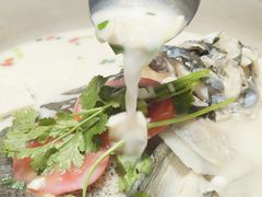 -全乐鱼馆·淳牌有机鱼直营店